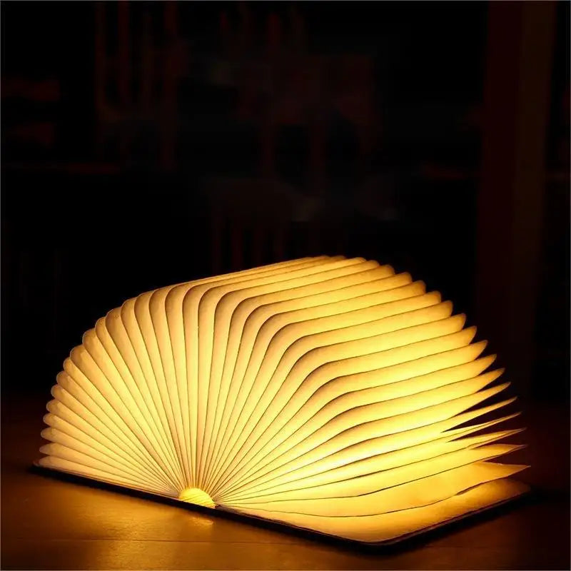 The GLOWING Book (LED LIGHT)