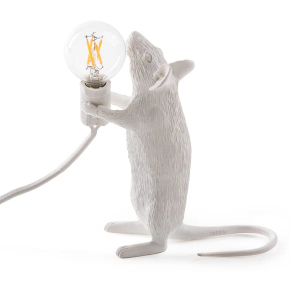 Luminous Companion Mouse